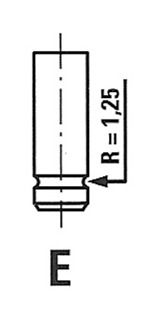 R3599/RCR FRECCIA Випускний клапан