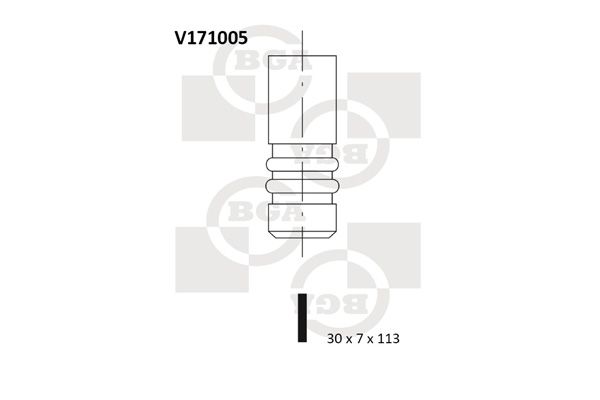 V171005 BGA Впускний клапан